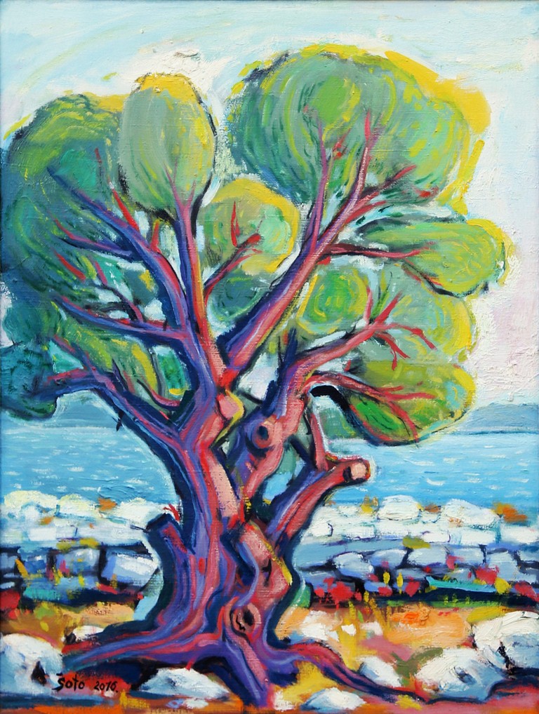 Olive tree II - Oil on canvas