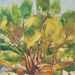 Olive tree - photo 1