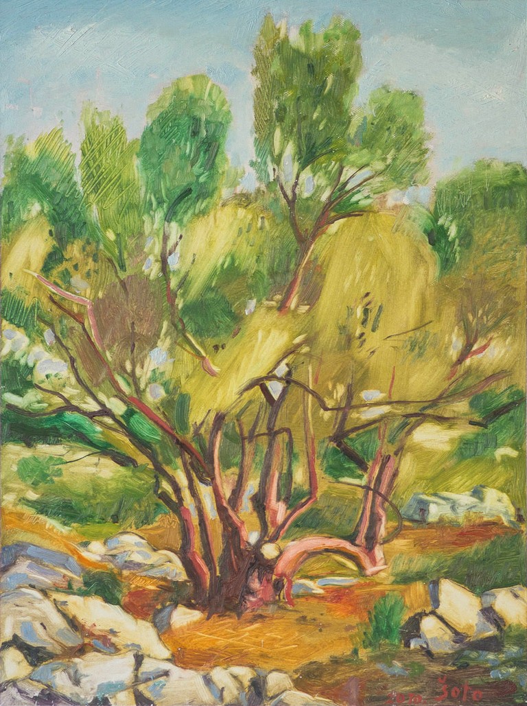 Olive tree - Oil on hardboard