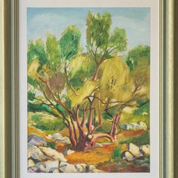 Olive tree - photo 2