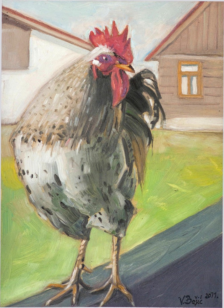 Rooster - Oil on hardboard