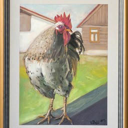 Rooster - photo 2