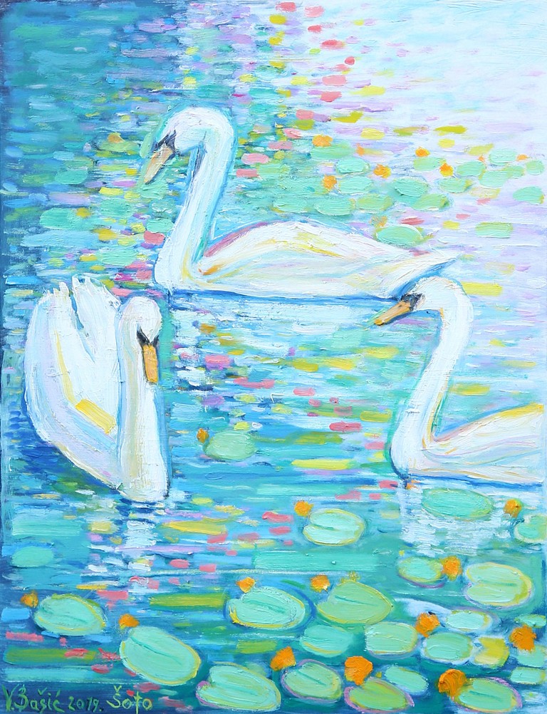 Swans on the river Mrežnica - Oil on hardboard