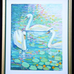 Swans on the river Mrežnica - photo 2