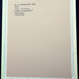 Swans on the river Mrežnica - photo 3